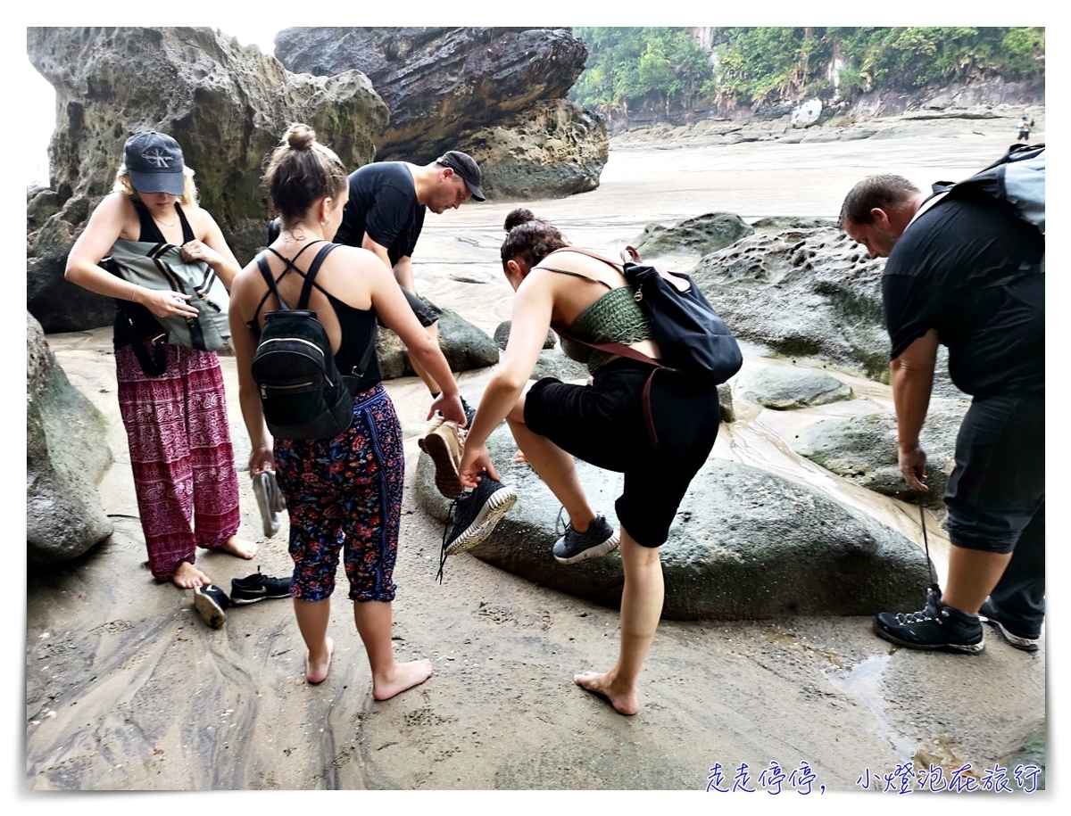 離台灣最近的雨林｜東馬古晉峇哥國家公園，走一趟雨林、看一片原始、靜一下心～