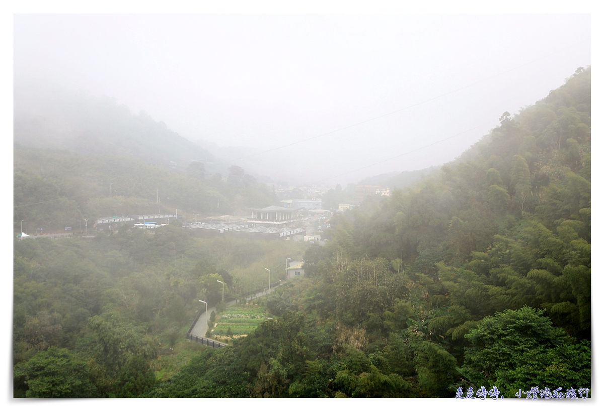梅山太平雲梯｜梅山36彎、梅山老街、太平雲梯，漫步在雲端、一分鐘一景色，台灣海拔最高單吊式吊橋